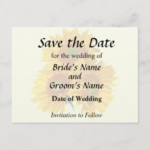 Three Golden Sunflowers Announcement Postcard