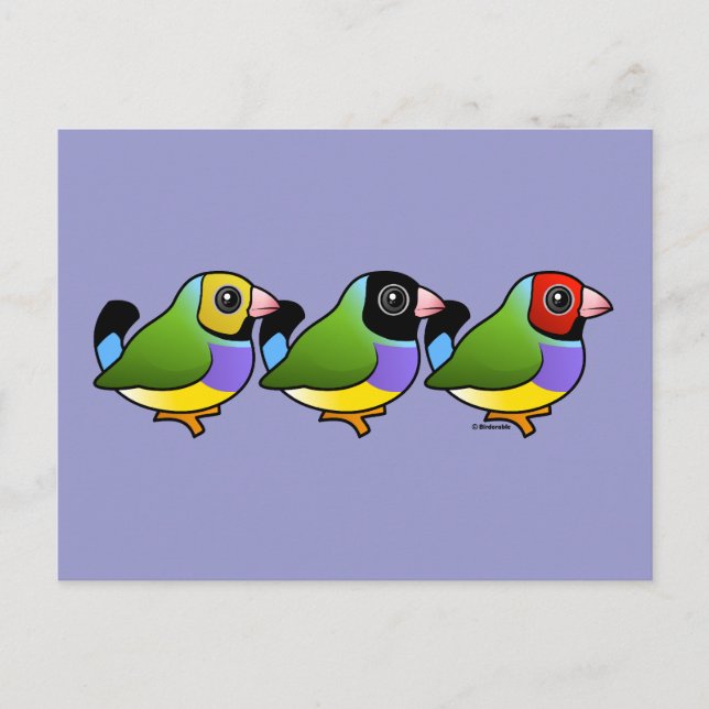 Three Gouldian Finches Postcard (Front)