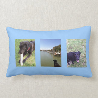 Three great dogs photo by bbillips lumbar cushion