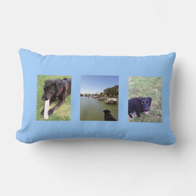 Three great dogs photo by bbillips lumbar cushion (Front)