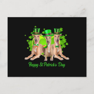 Three Greyhound Dogs Happy Stpatricks Day Gift Holiday Postcard