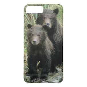 Three Grizzly Bear Cubs or Coys iPhone 8 Plus/7 Plus Case
