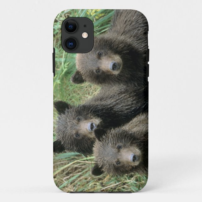 Three Grizzly Bear Cubs or Coys Case-Mate iPhone Case (Back)