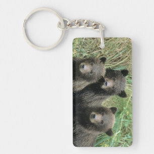 Three Grizzly Bear Cubs or Coys Key Ring