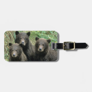 Three Grizzly Bear Cubs or Coys Luggage Tag