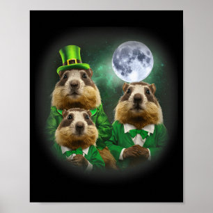 Three Groundhog Moon 3 Groundhog Day Head St Patri Poster