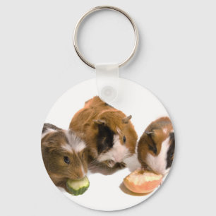 three guinea pigs who eat, key ring