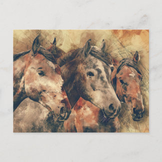 three horses postcard