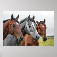 Three Horses