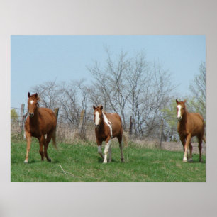 Three Horses Poster