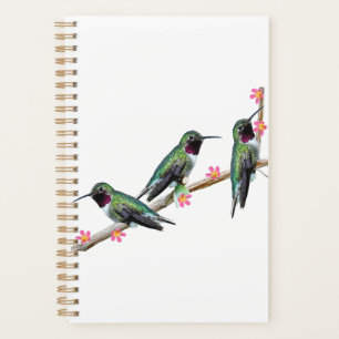 Three Hummingbirds perching on a branch Floss Silt Planner