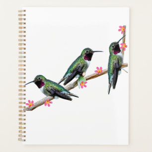 Three Hummingbirds perching on a branch Floss Silt Planner