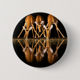 Three Impala Drink Together at Night 6 Cm Round Badge