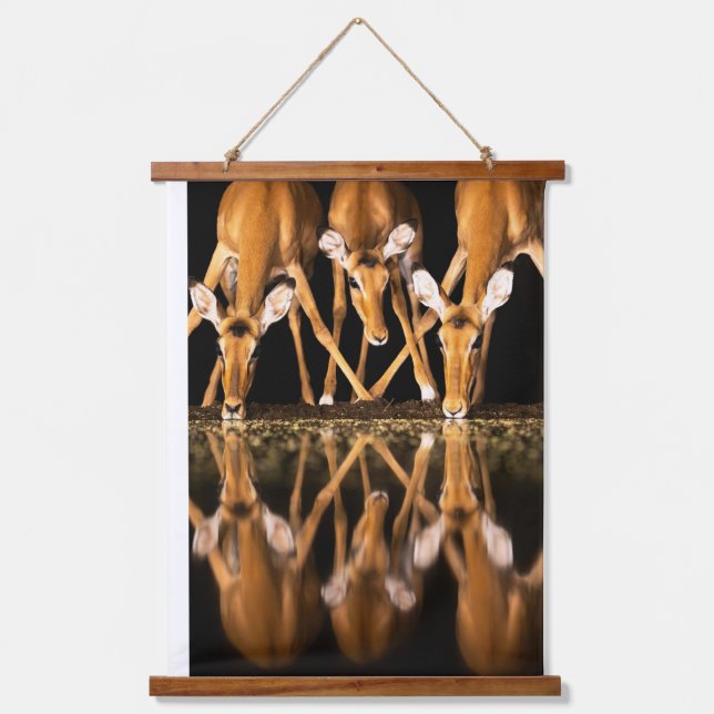 Three Impala Drink Together at Night Hanging Tapestry (Front)