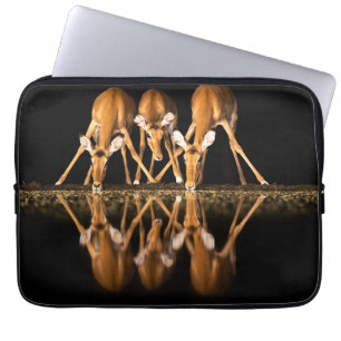 Three Impala Drink Together at Night Laptop Sleeve