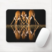 Three Impala Drink Together at Night
