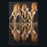 Three Impala Drink Together at Night Tea Towel<br><div class="desc">Africa,  East Africa,  Kenya,  Great Rift Valley,  Olkirimatian Conservancy,  impala,  Aepyceros melampus.  Three impala drink together at night.</div>