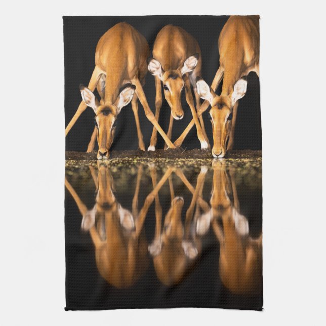 Three Impala Drink Together at Night Tea Towel (Vertical)