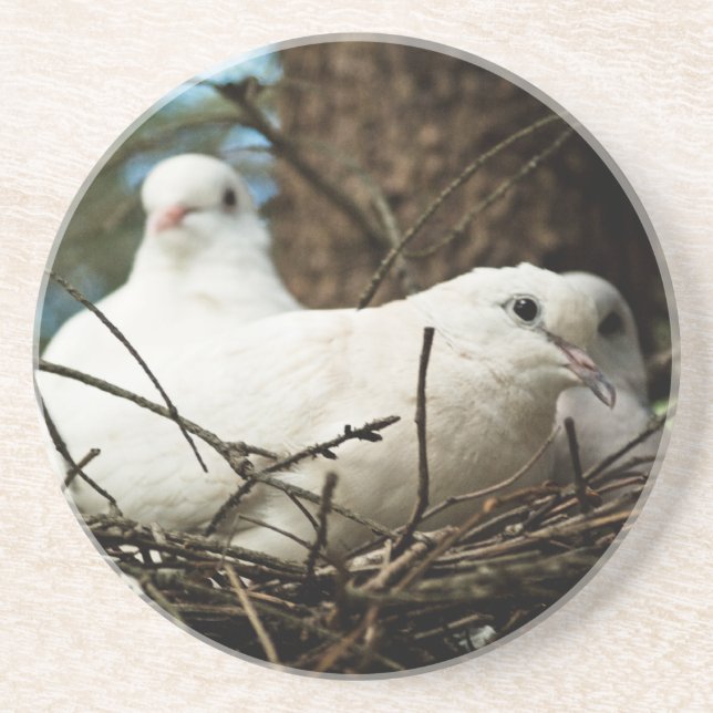 Three in a Tree Coaster (Front)