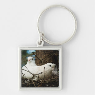 Three in a Tree Key Ring