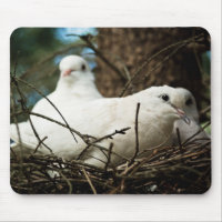 Three in a Tree