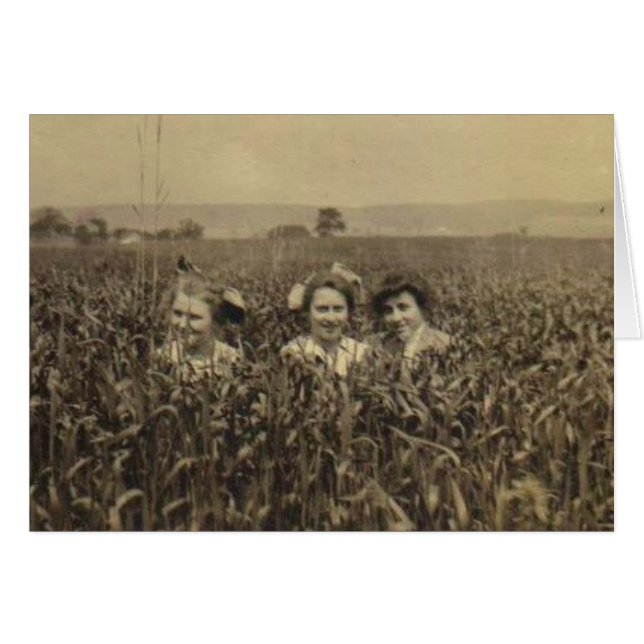 Three in the Field (Front Horizontal)