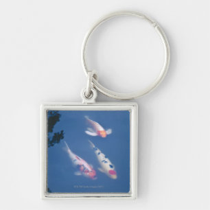 Three Japanese koi fish in pond Key Ring