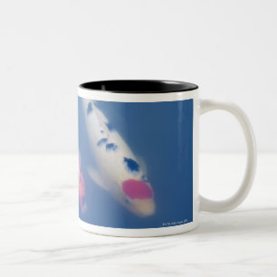 Three Japanese koi fish in pond Two-Tone Coffee Mug