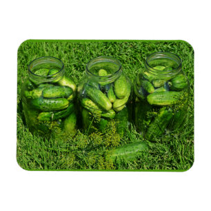 Three Jars of Cucumbers and Dill on Grass Magnet