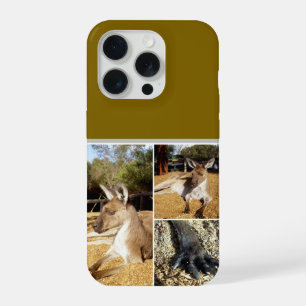 Three Kangaroo Images Collage, Cushion iPhone 15 Pro Case