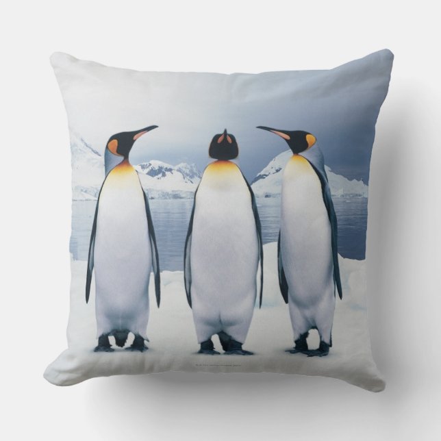 Three King Penguins Cushion (Front)