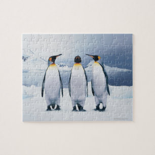 Three King Penguins Jigsaw Puzzle