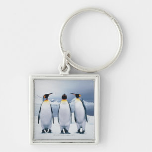 Three King Penguins Key Ring
