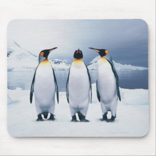 Three King Penguins Mouse Pad