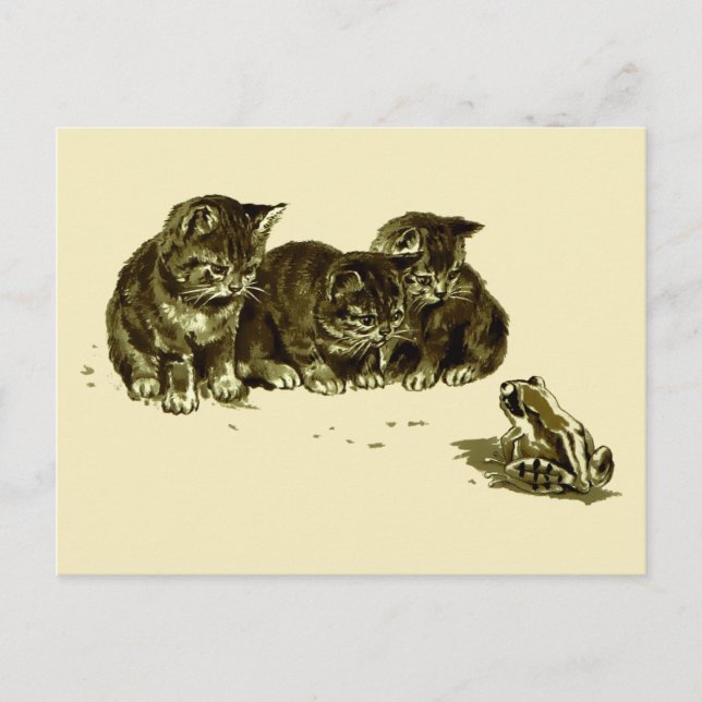Three Kittens and a Frog Postcard (Front)