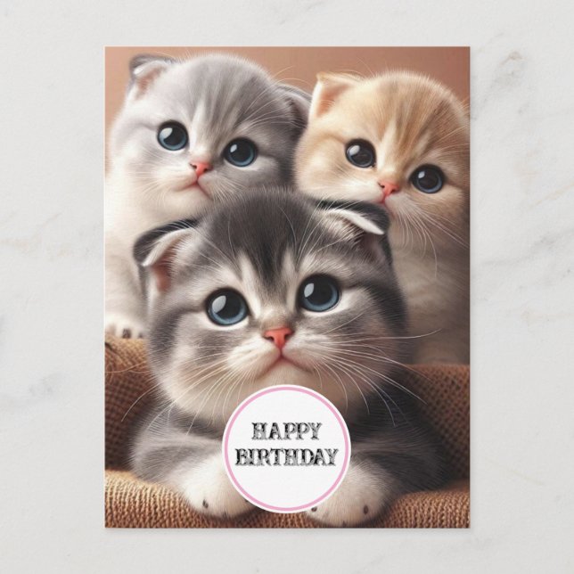 Three Kittens Happy Birthday Postcard (Front)