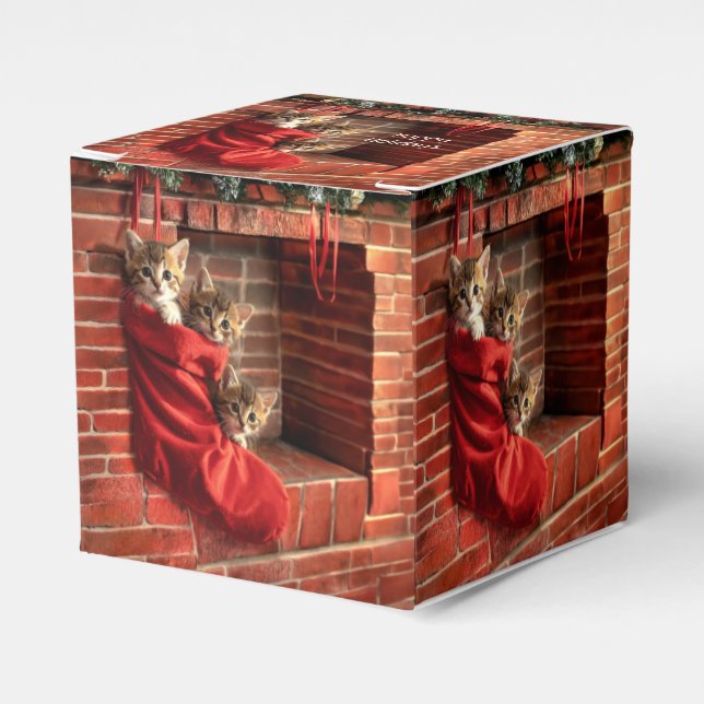 Three kittens in a Christmas Stocking Favour Box (Front Side)