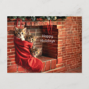 Three kittens in a Christmas Stocking Postcard