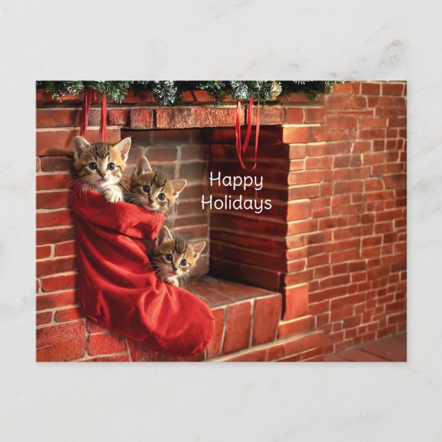 Three kittens in a Christmas Stocking Postcard (Front)