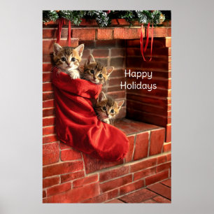 Three kittens in a Christmas Stocking Poster