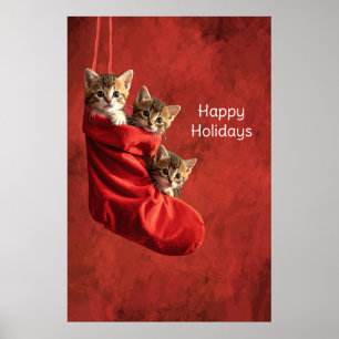 Three kittens in a Christmas Stocking Poster