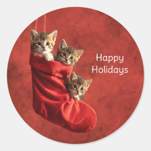 Three kittens in a Christmas Stocking Stickers