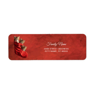 Three kittens in a Red Stocking Return Address Label