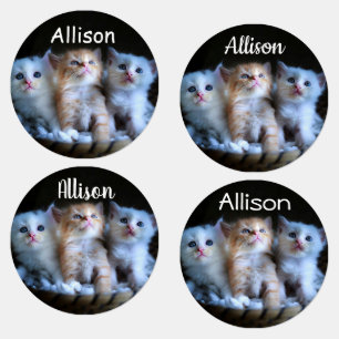 Three Kittens Labels