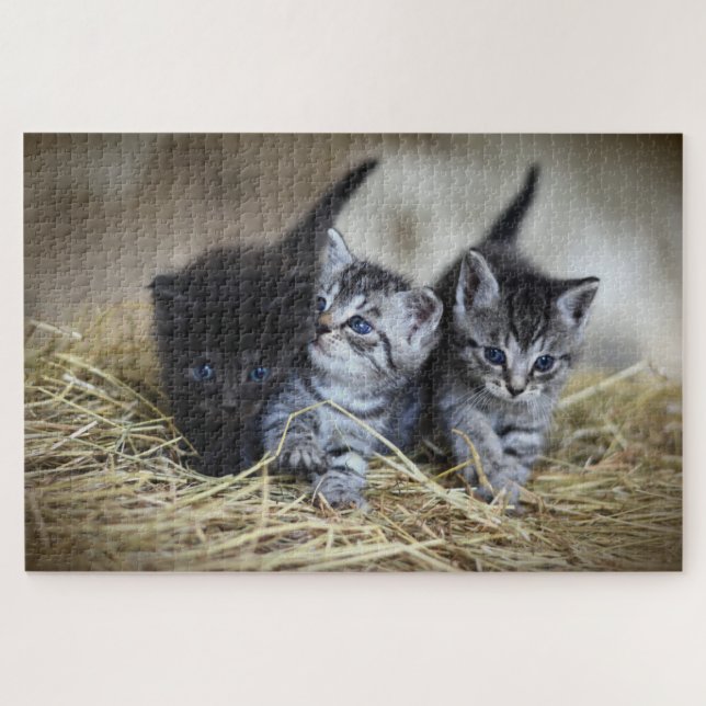 three kittens puzzle (Horizontal)