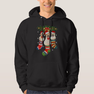 Three Labrador In Sock Christmas Santa X Mas Dog Hoodie