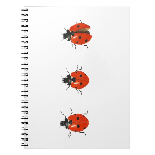 Three ladybirds 2013 notebook (Front)