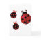 Three Ladybugs
