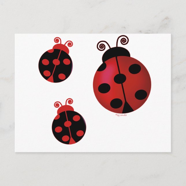 Three Ladybugs Postcard (Front)