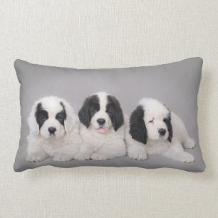 Three Landseer puppies Lumbar Cushion